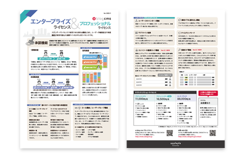 上位ライセンス機能紹介チラシ