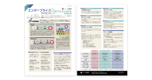 資料イメージ：a-blog cms プロフェッショナル・エンタープライズライセンス　機能紹介チラシ
